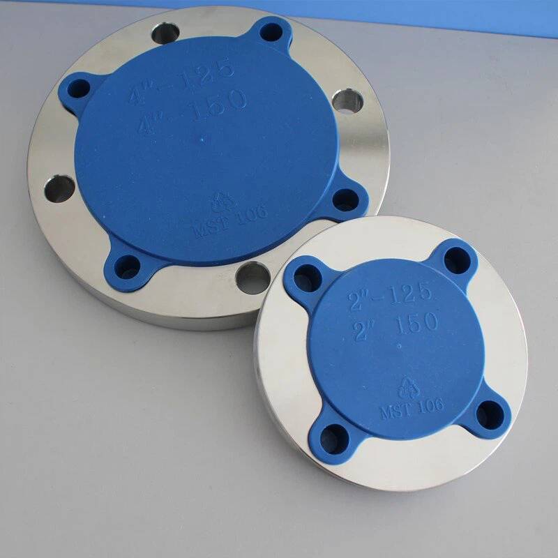 Forged Stainless Steel Flange Forged Stainless Steel Flange